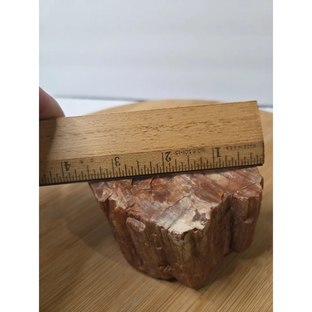 Natural Raw Petrified Wood Specimen Fossil 1.5 lbs 4